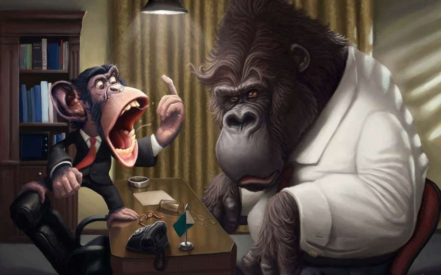 Ein wütender Schimpanse im Anzug schreit einen ruhigen Gorilla im weißen Anzug an einem Schreibtisch an. — Süße Gorilla bilder Wallpaper