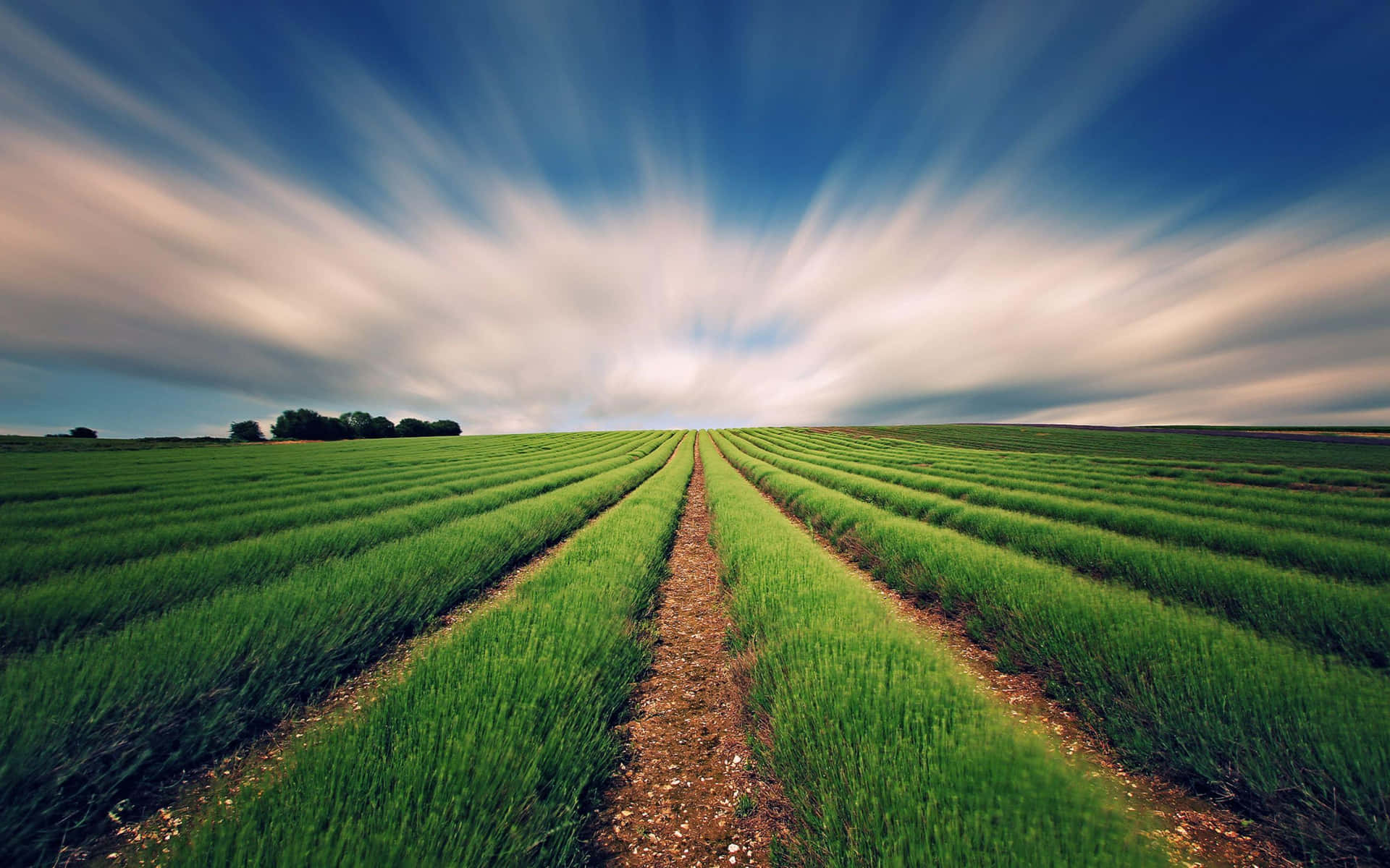 Sustainable Agriculture Wallpaper
