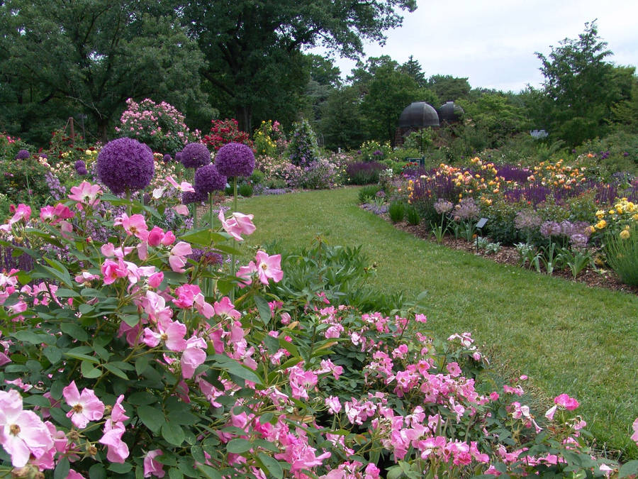 Swarthmore College Fond d'écran