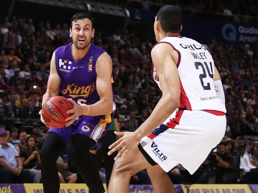 Sydney Kings Fond d'écran