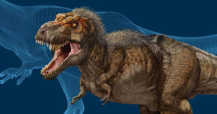 T-rex Pictures Wallpaper