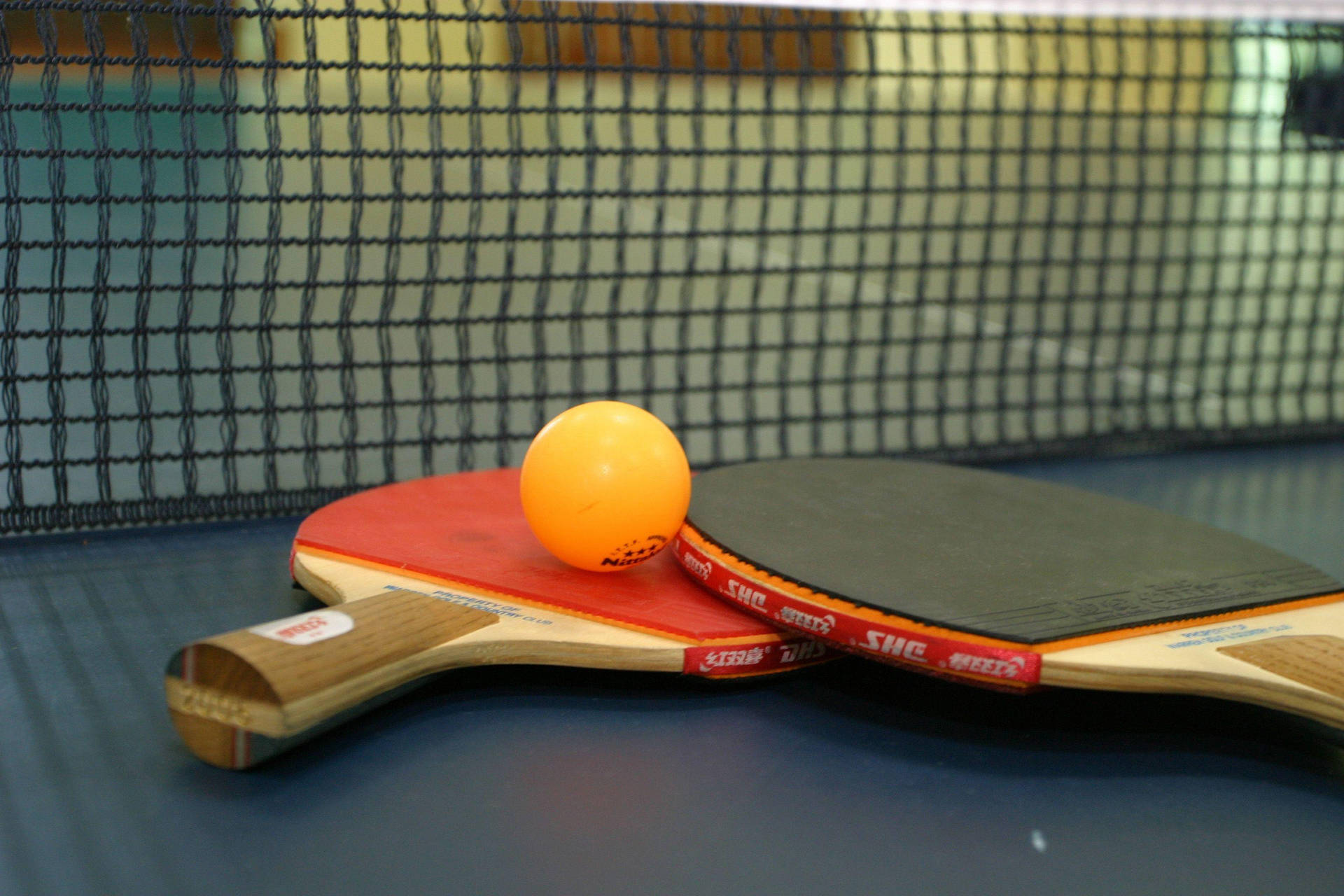 Table Tennis Pictures Wallpaper