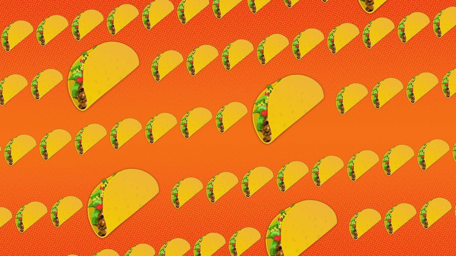 Taco Papel de Parede