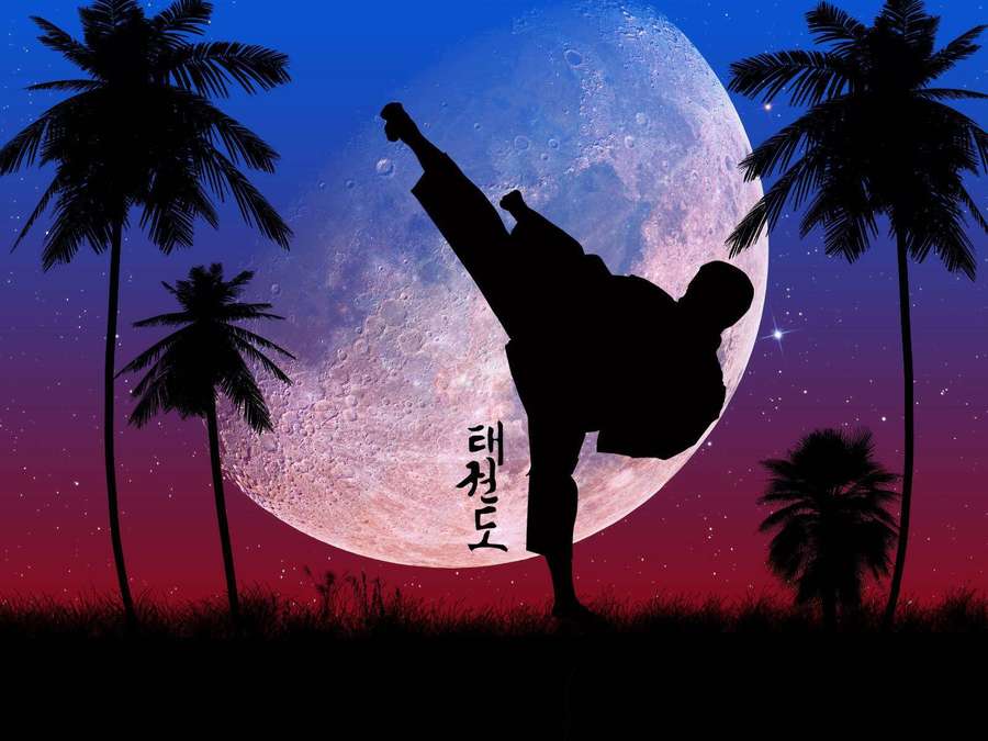 Martial artist in silhouette performing a high kick under a giant moon with palm trees at twilight. — Taekwondo Wallpaper