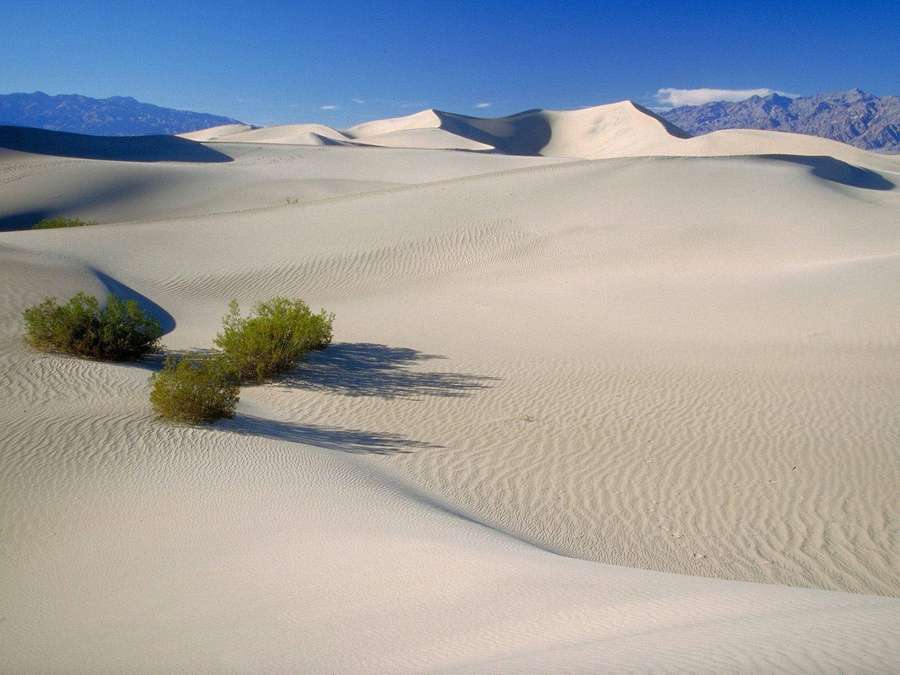 Weiße Sanddünen mit grünen Sträuchern und fernen Bergen unter klarem blauen Himmel. — Tal Des Todes Wallpaper