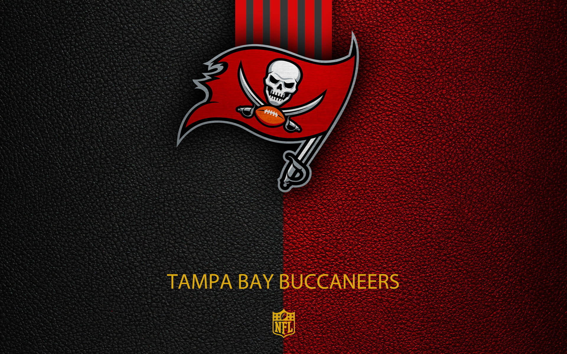 Tampa Bay Buccaneers Background Wallpaper