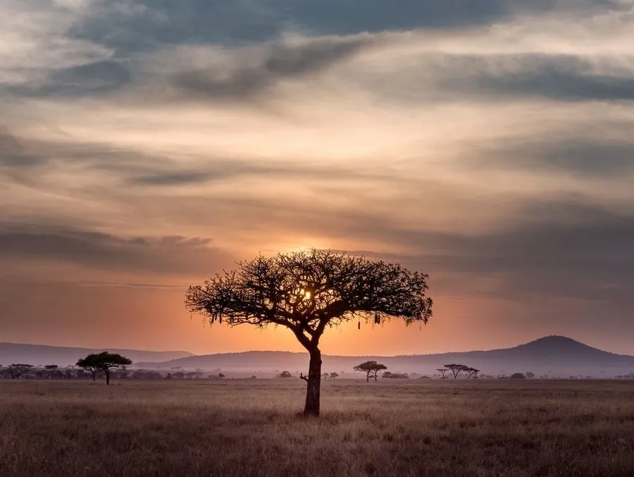 Tanzania Bakgrund Wallpapers