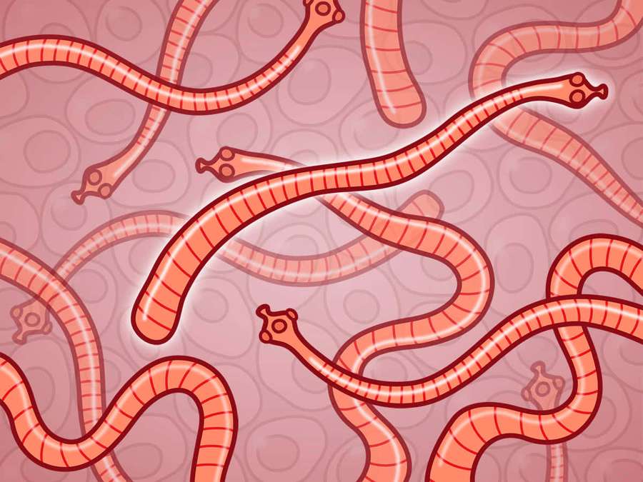 Pink and orange striped cartoon worms with glowing heads on a bubbly background. — Tapeworm Wallpaper