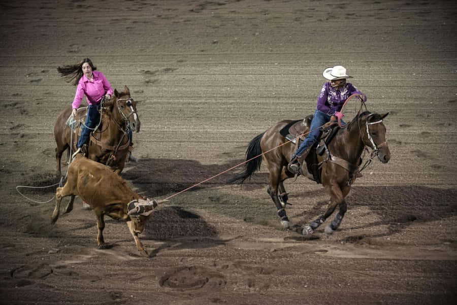 Team Roping Fond d'écran