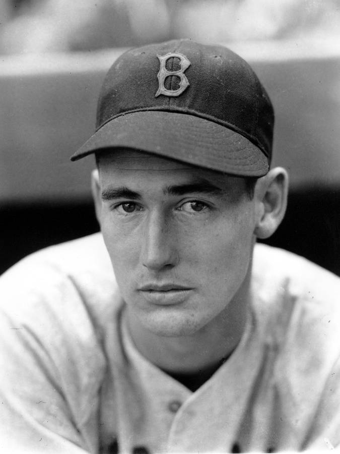 Ted Williams Achtergrond