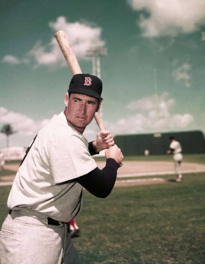 Jugador de béisbol con uniforme vintage sosteniendo bate en el campo bajo cielo nublado — Ted Williams Fondos de pantalla