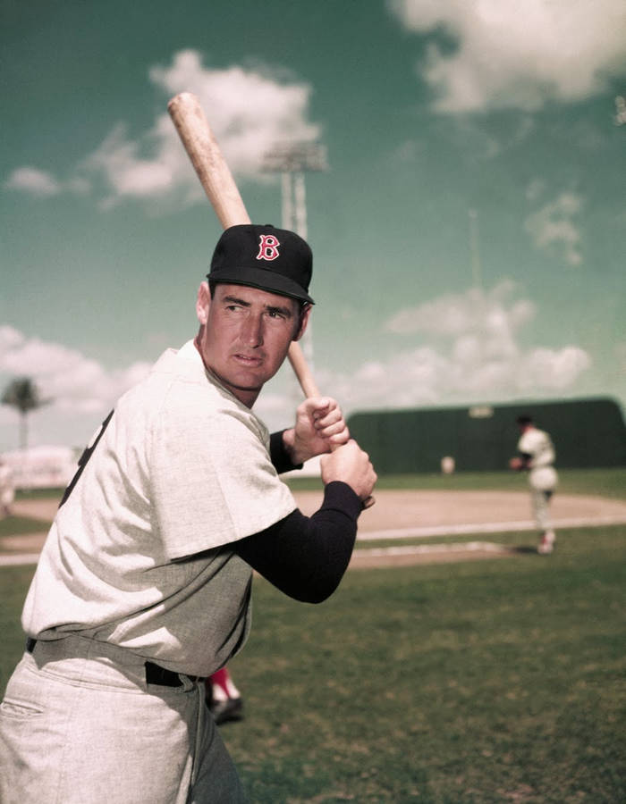100+] Ted Williams Pictures