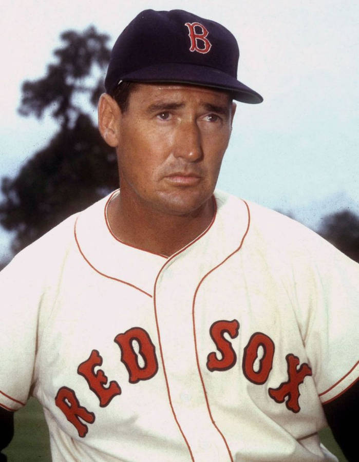 Ted Williams Wallpaper