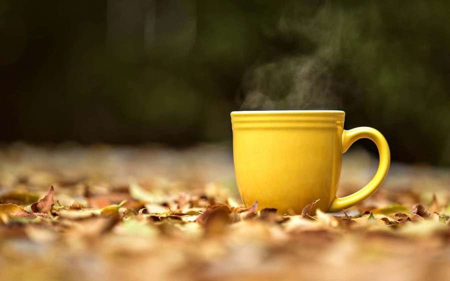 Gelbe Tasse mit aufsteigendem Dampf zwischen Herbstlaub. — Teetasse Bilder