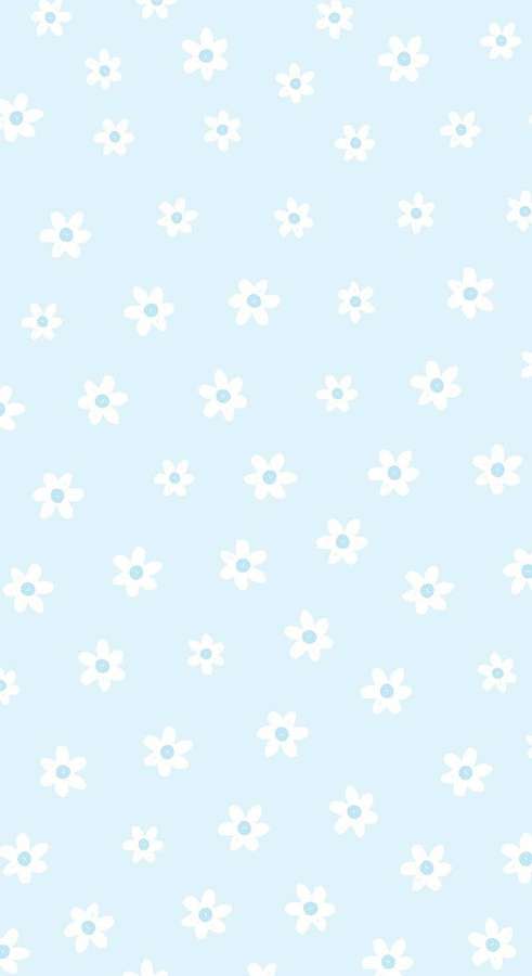 Papel de parede azul pastel com margaridas brancas e centros azuis claros. — Telefone simples Papéis de Parede
