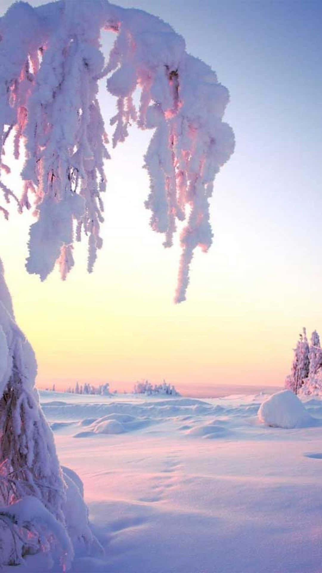 Téléphone Esthétique Hiver Fond d'écran