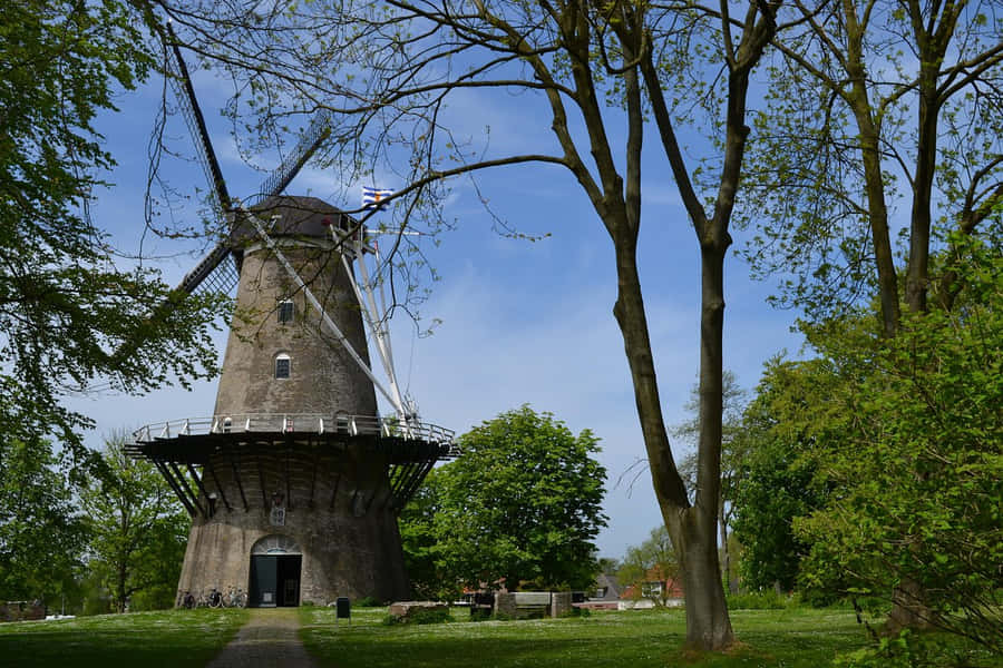 Terneuzen Fond d'écran