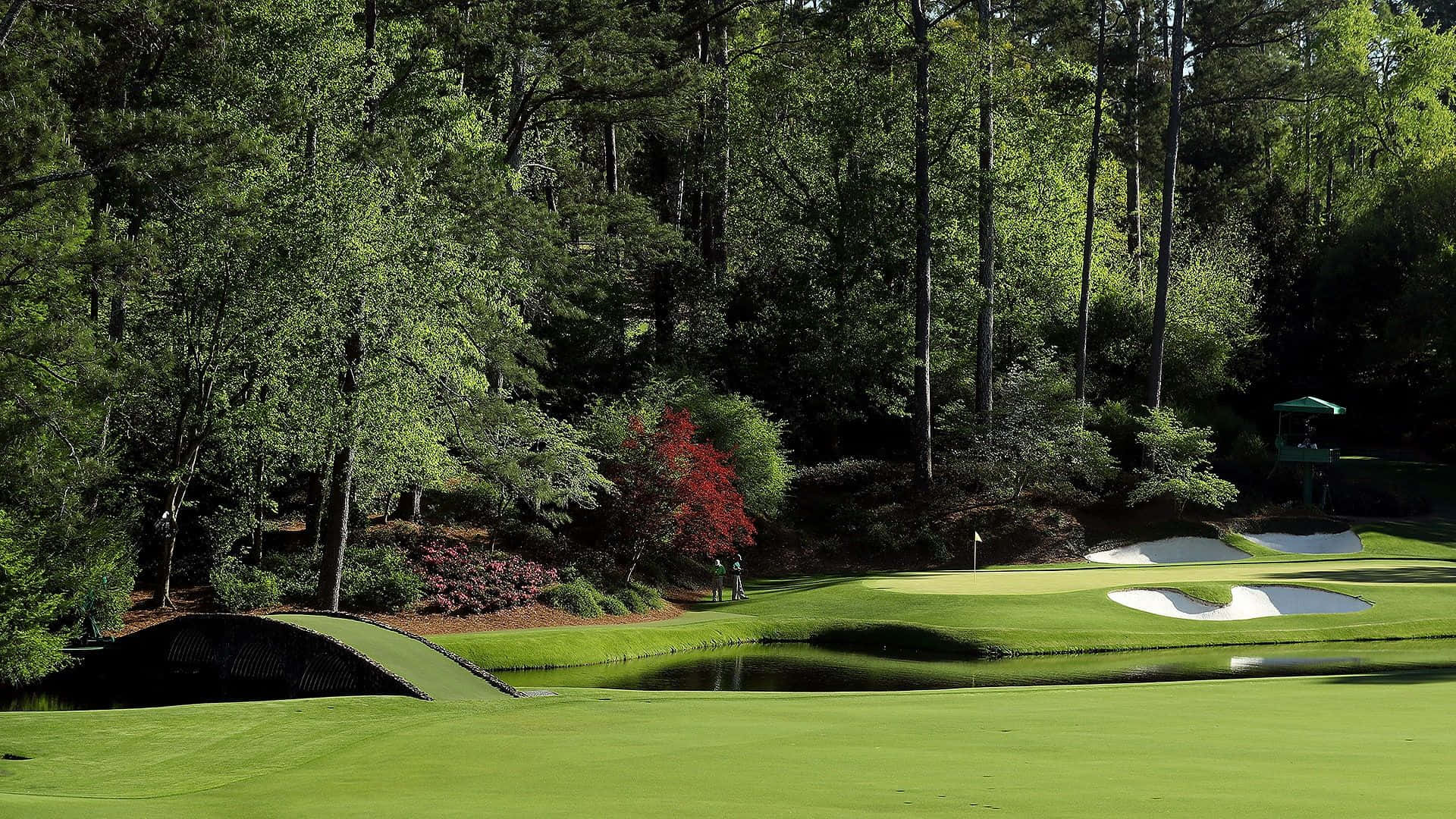 Terrain De Golf D'augusta National Fond d'écran