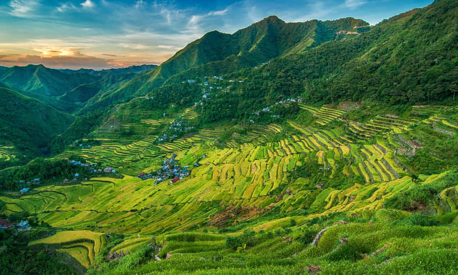 Terrazze Di Riso Di Banaue Sfondo