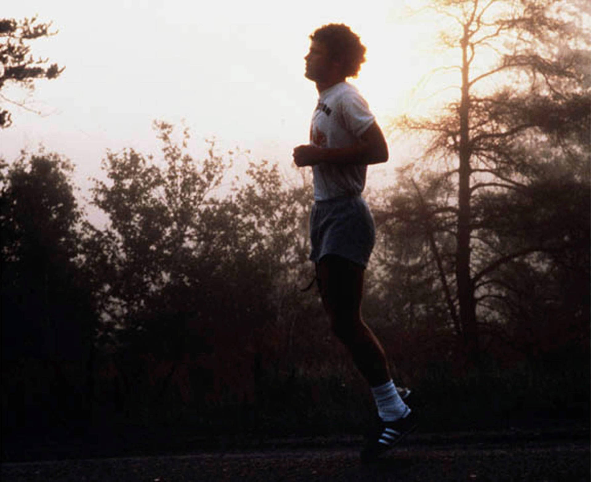 Terry Fox Sfondo