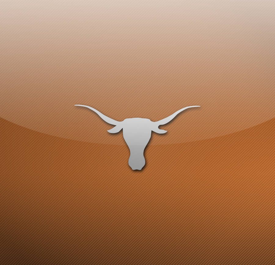 Texas Longhorn Hintergrund