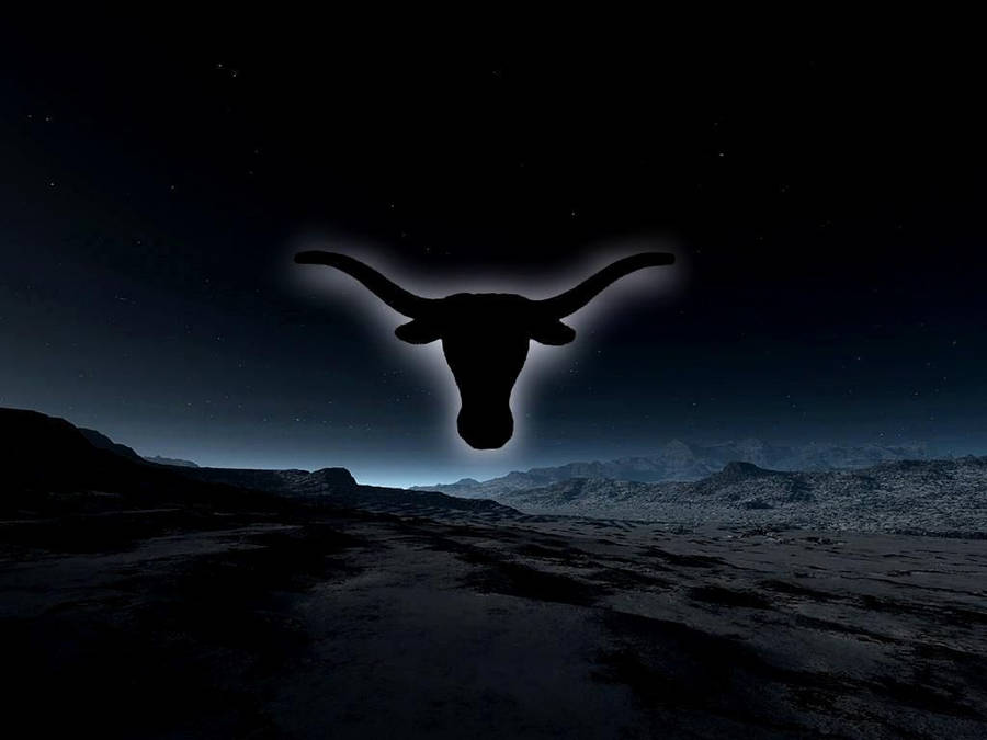 Texas Longhorn Wallpaper