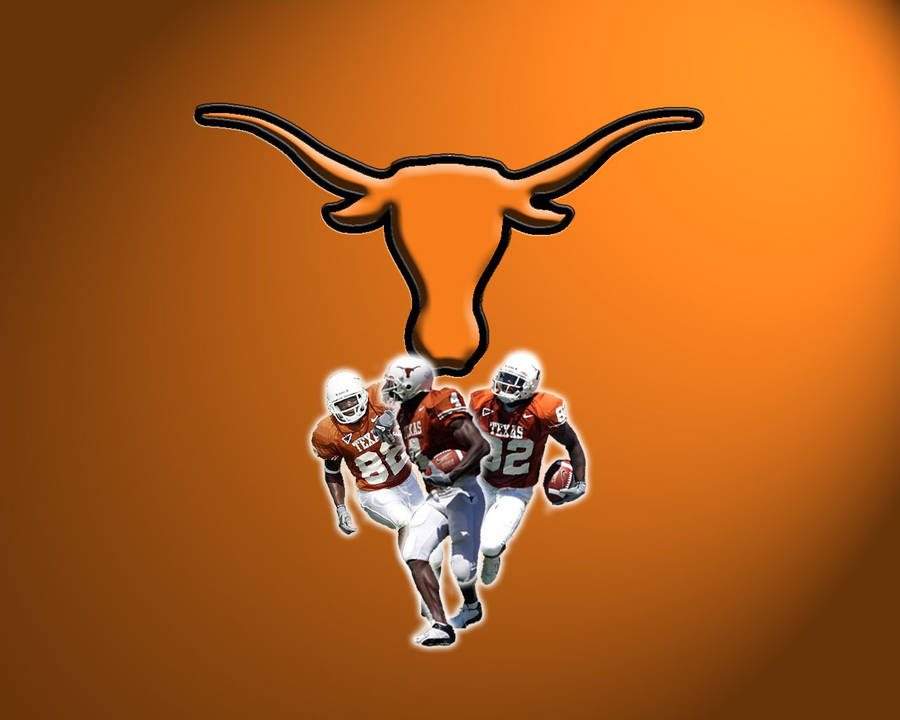 Texas Longhorn Pictures Wallpaper