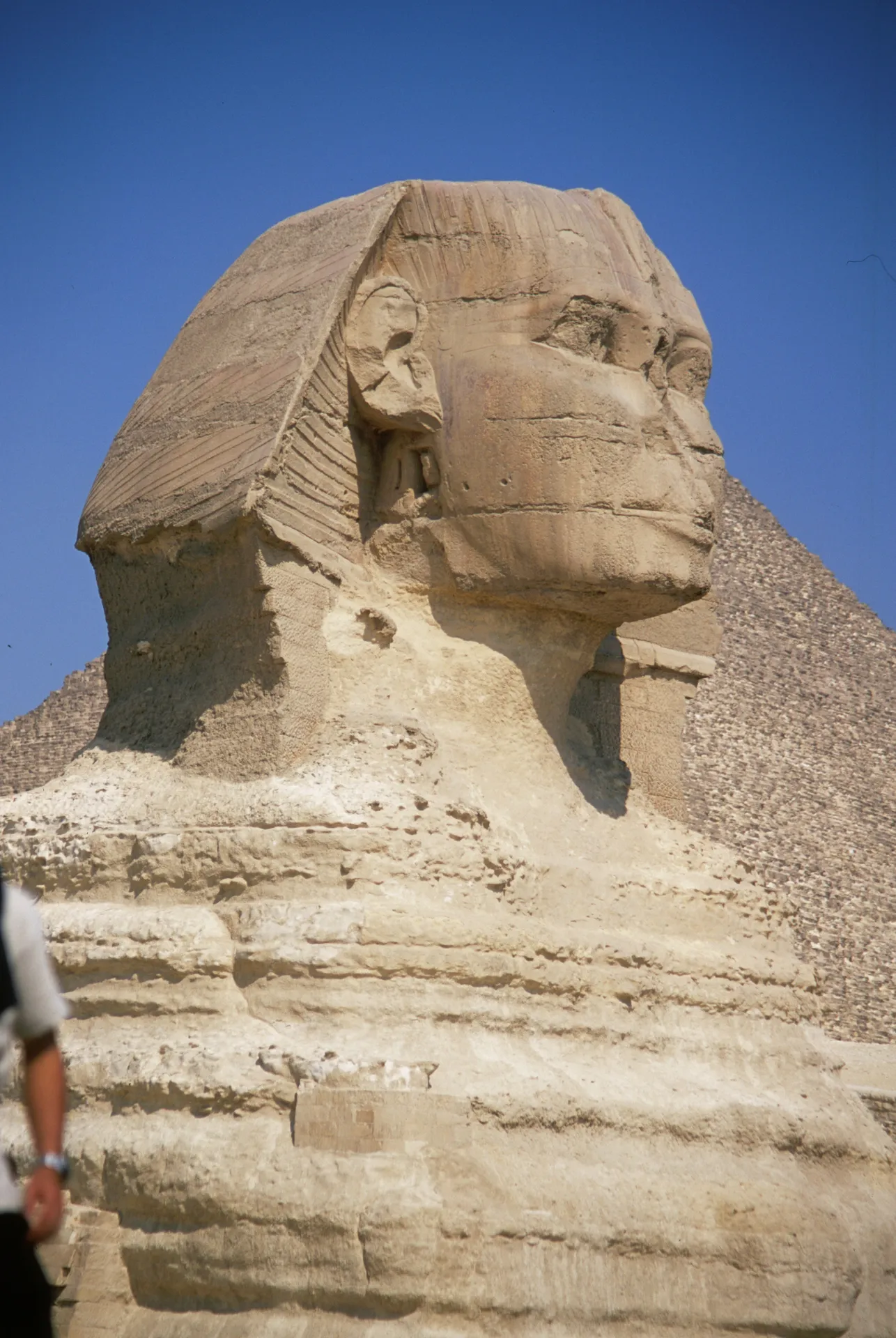 The Great Sphinx Wallpapers