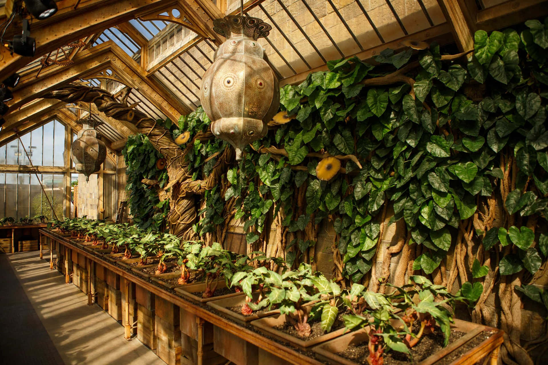 The Hogwarts Greenhouses Wallpaper