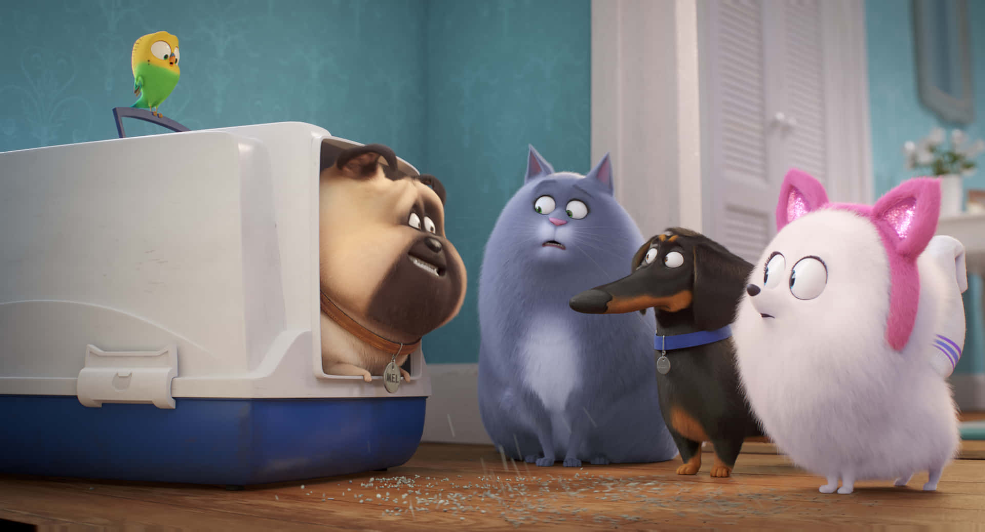 The Secret Life Of Pets 2 Taustakuva