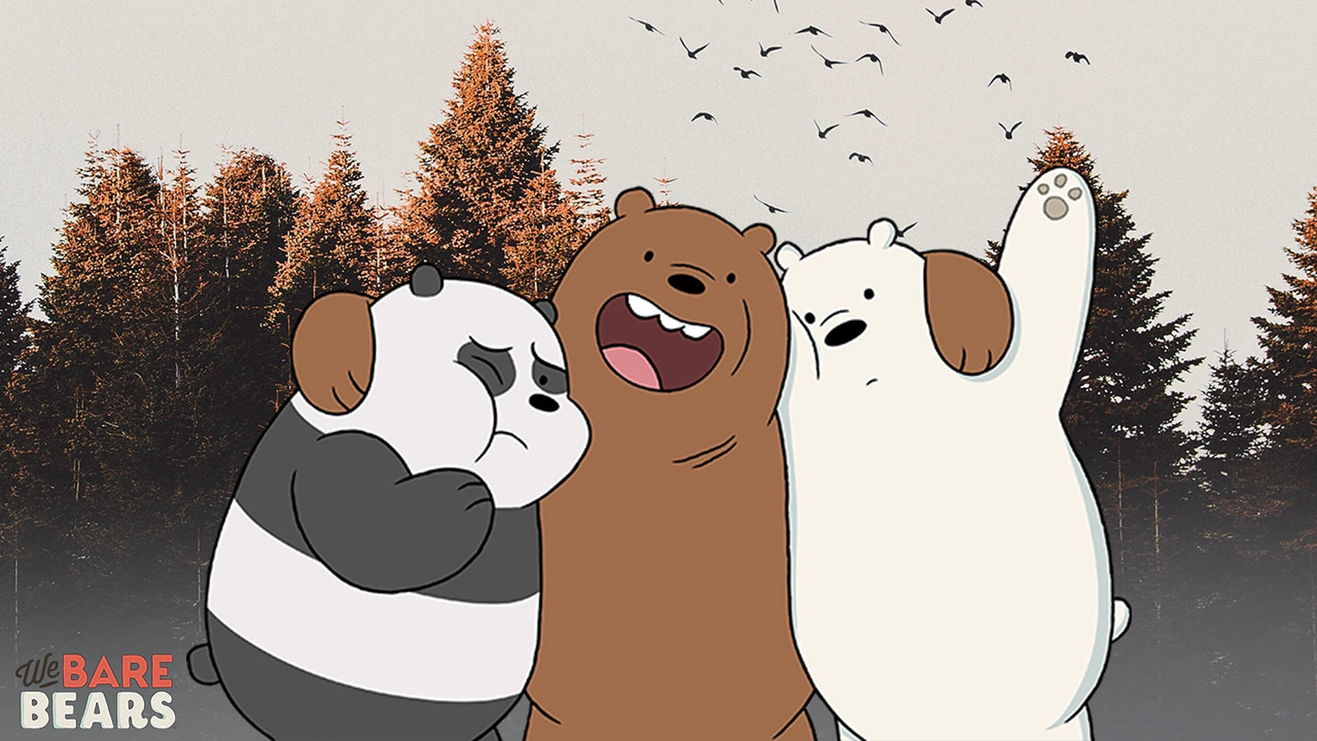 Three Bears Pictures Wallpaper