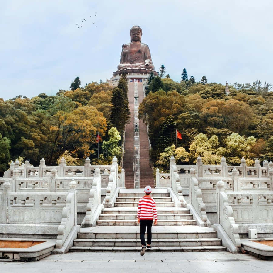 Tian Tan Buddha Bakgrunnsbildet