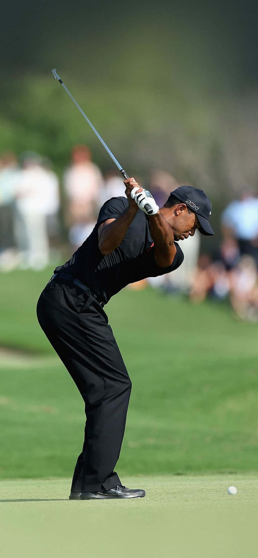 Tiger Woods Bakgrund