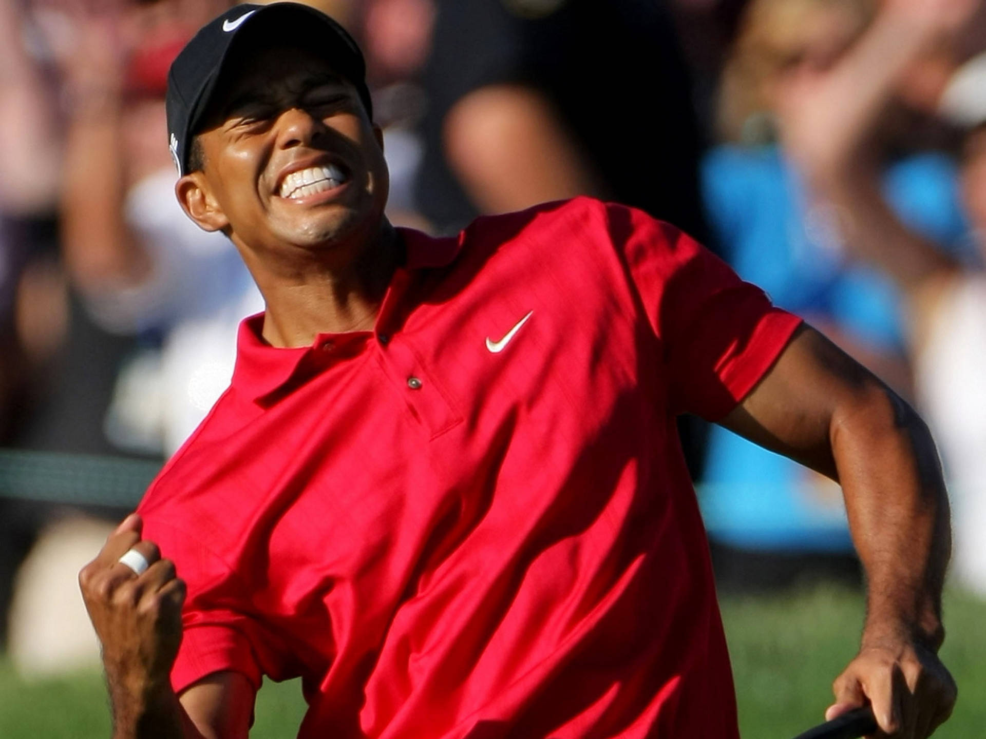 Tiger Woods Hintergrundbilder