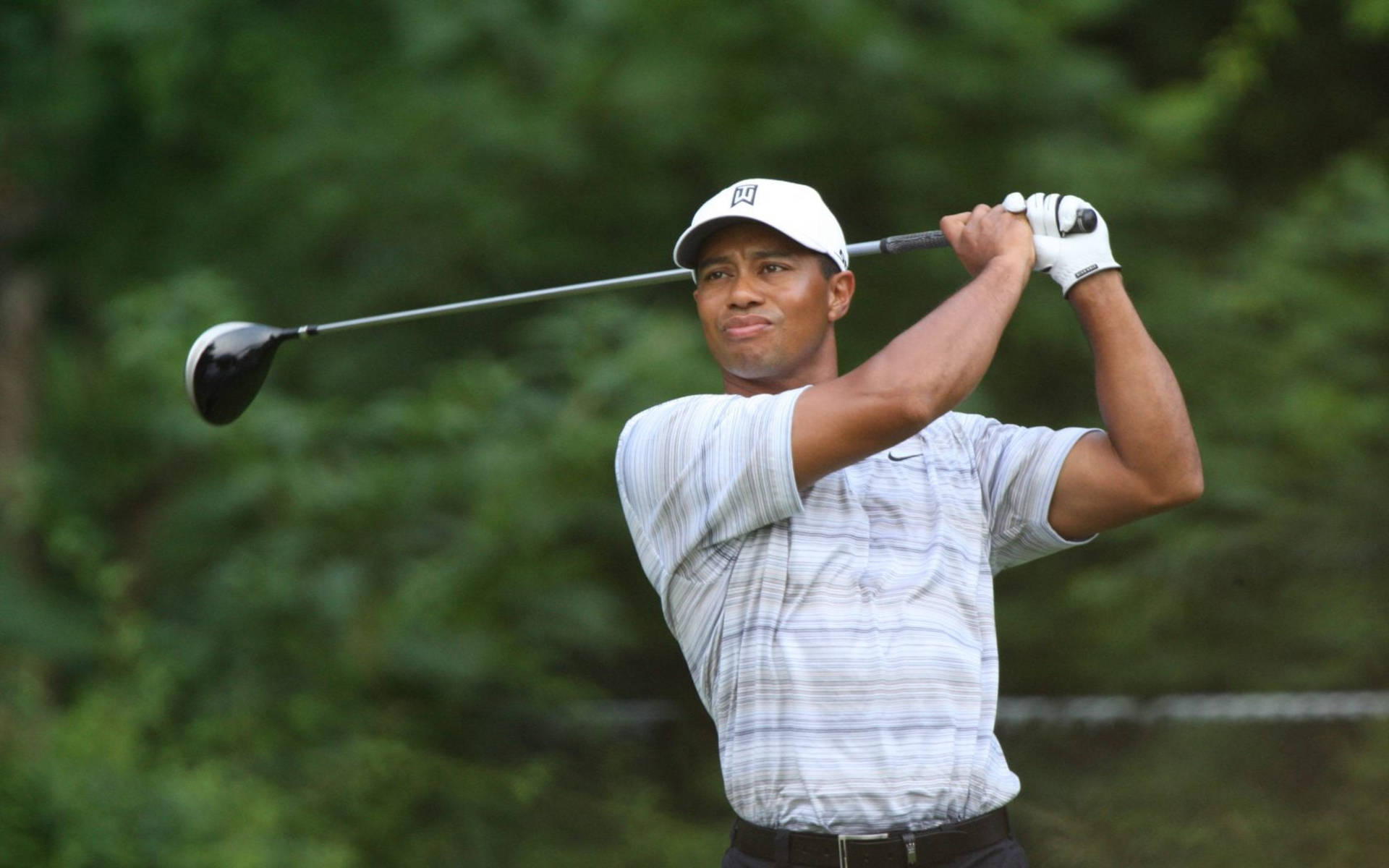 Tiger Woods Sfondo