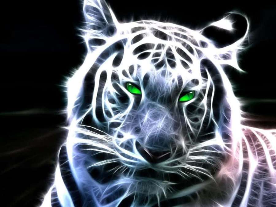 Tigre blanco brillante con ojos verdes mira intensamente contra fondo negro. — Tigre Blanco Fondos de pantalla