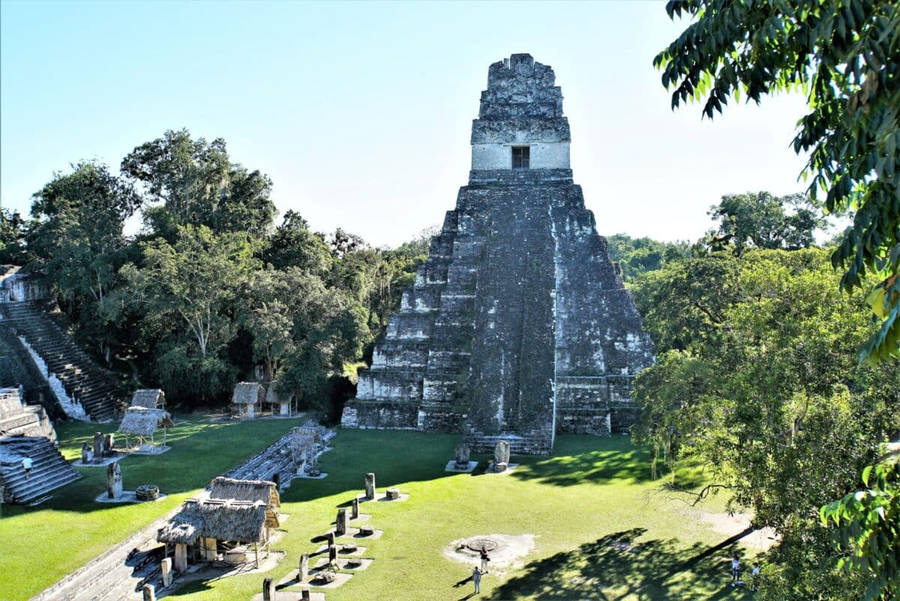 Tikal Papel de Parede