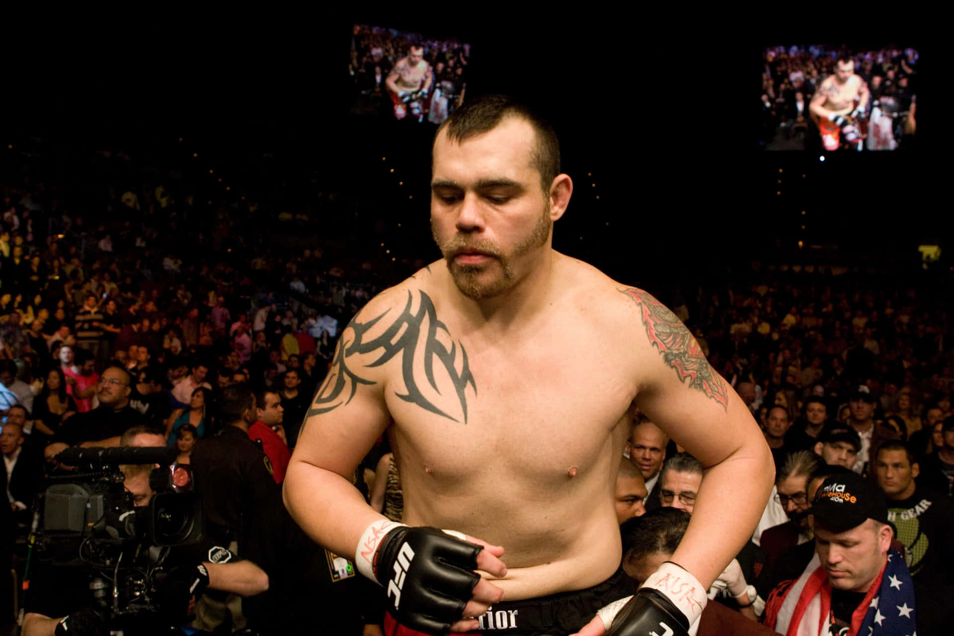 Tim Sylvia Achtergrond