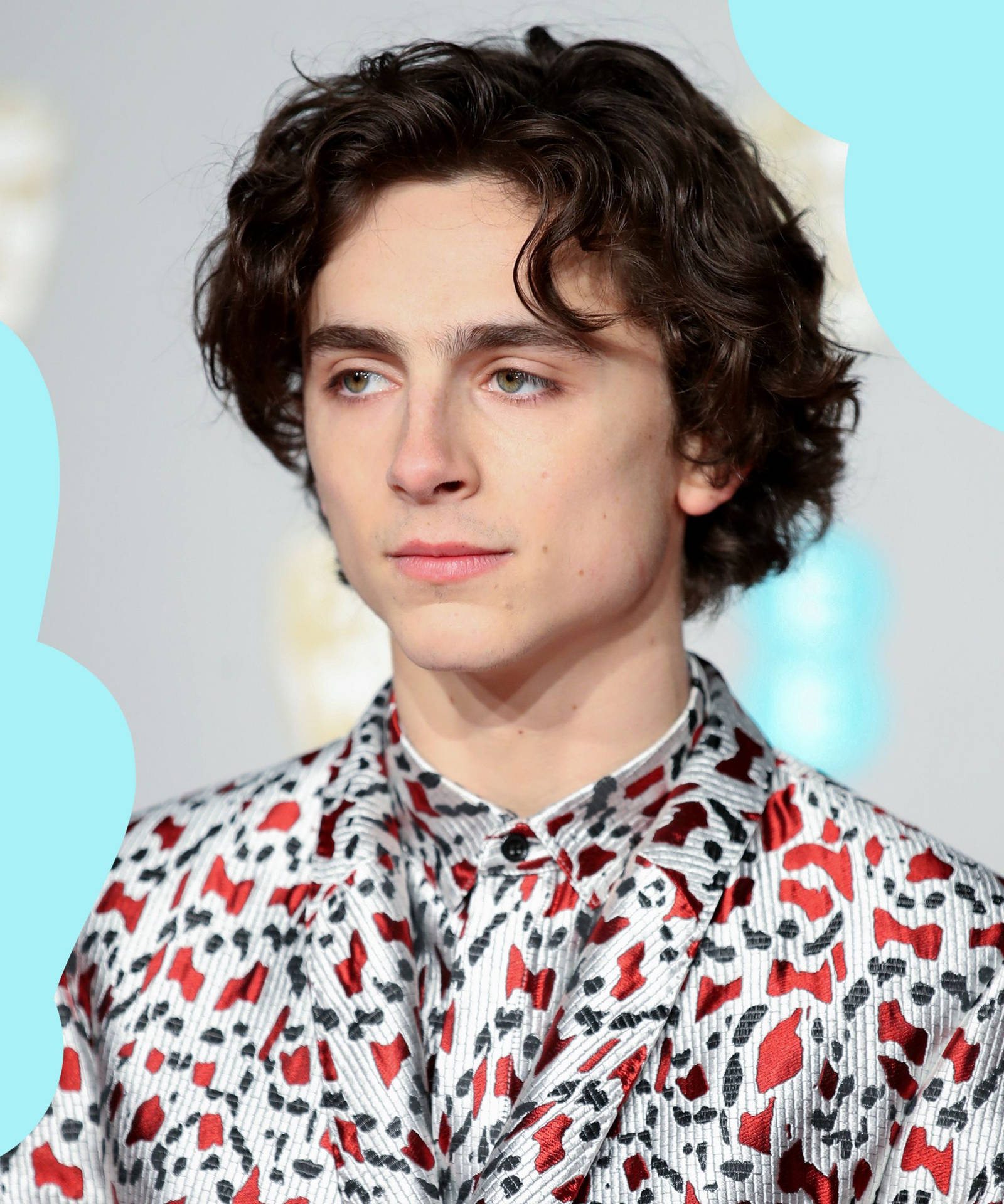 Timothée Chalamet Taustakuva