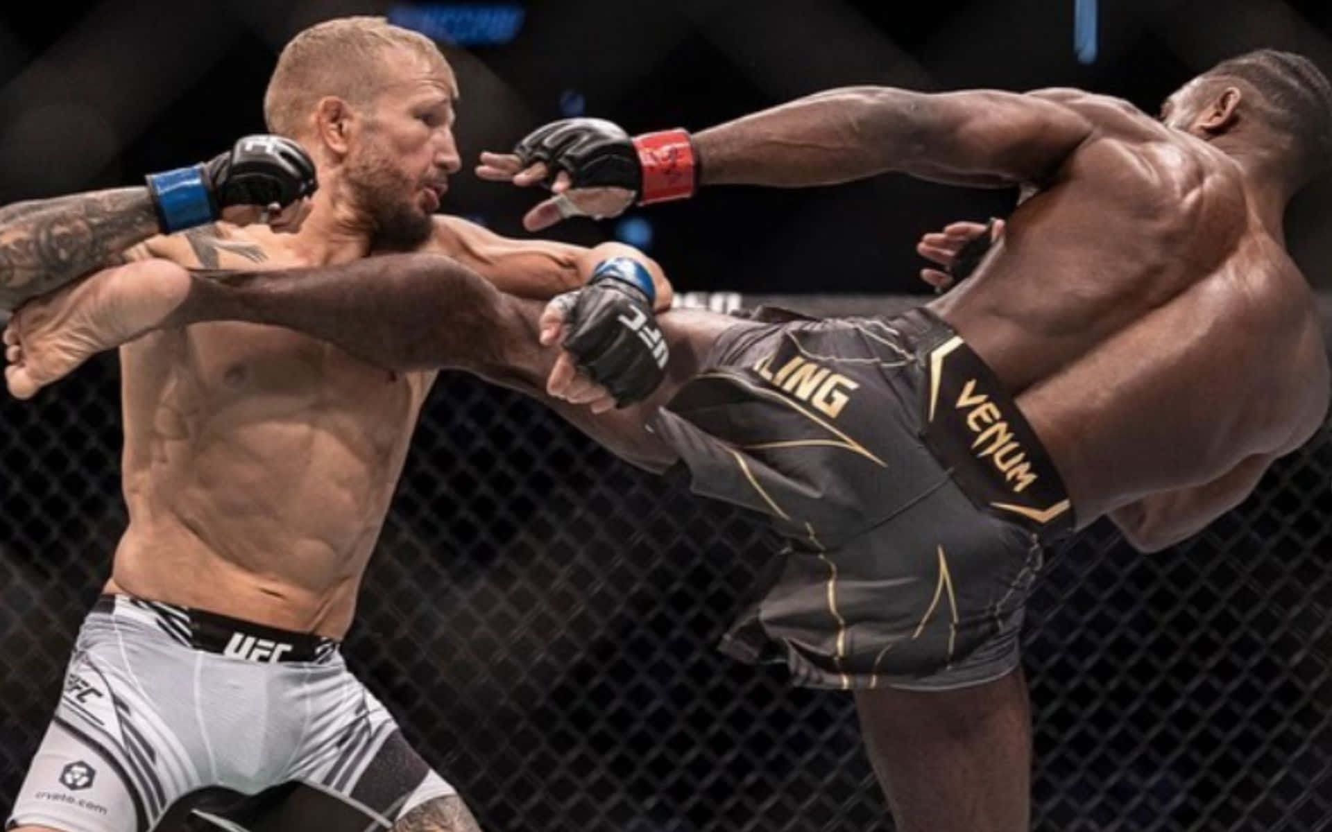 Tj Dillashaw Wallpaper