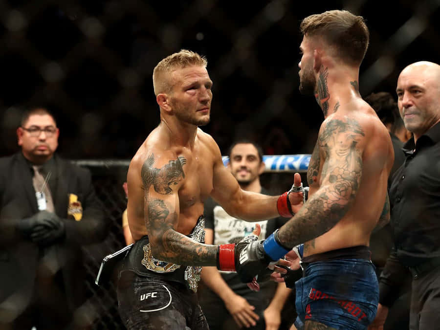 Tj Dillashaw Achtergrond