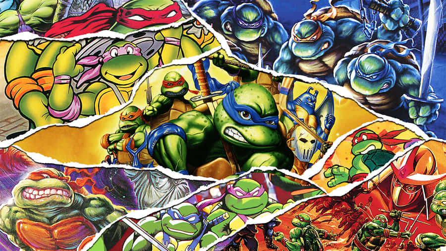 Teenage Mutant Ninja Turtles i rivne tegneseriepaneler med våpen og uttrykk. — Tmnt Bakgrunner