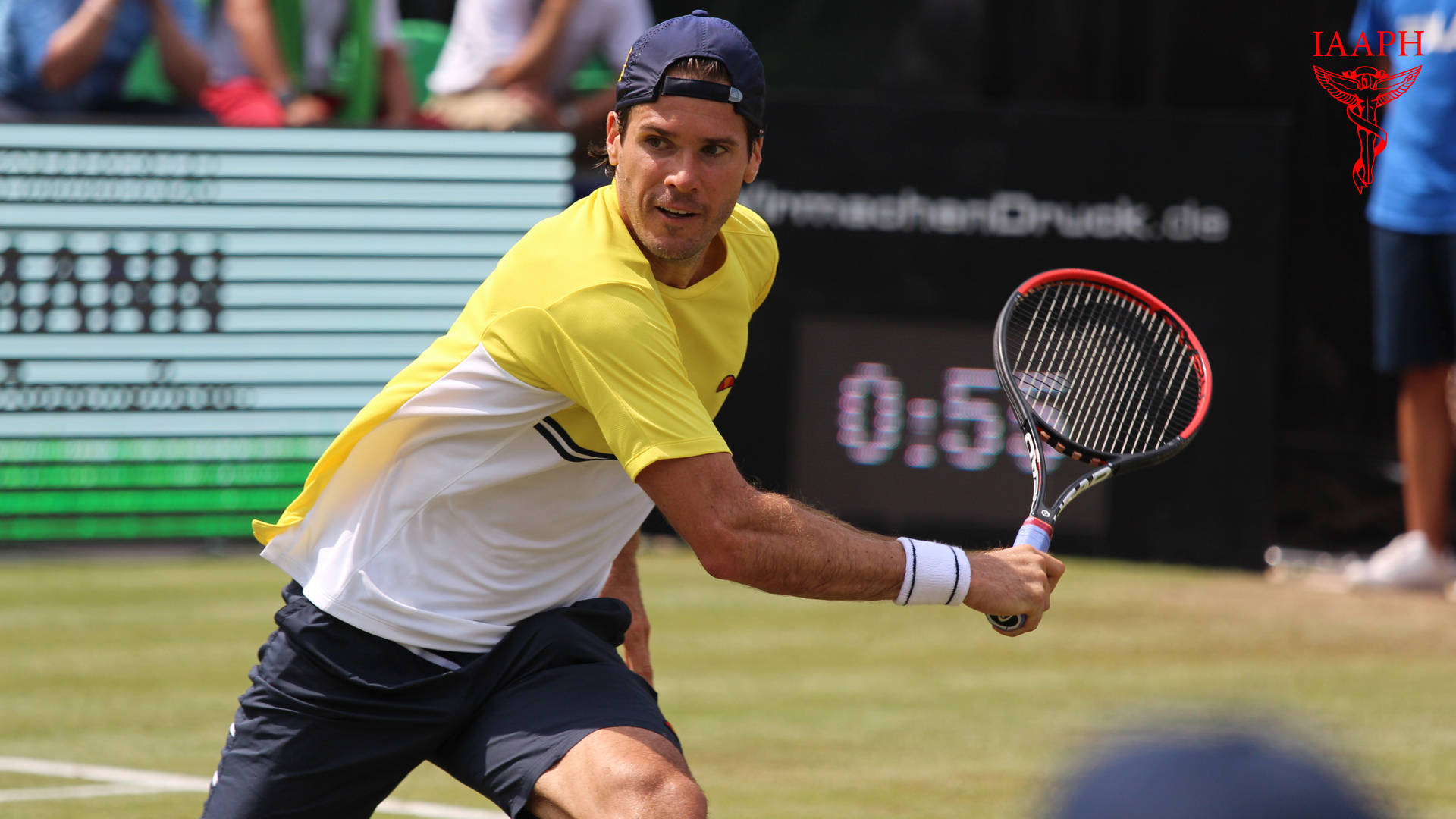 Tommy Haas Achtergrond