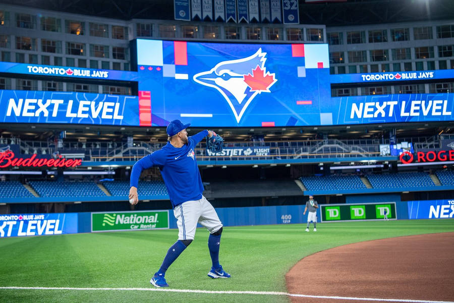 Toronto Blue Jays Papel de Parede