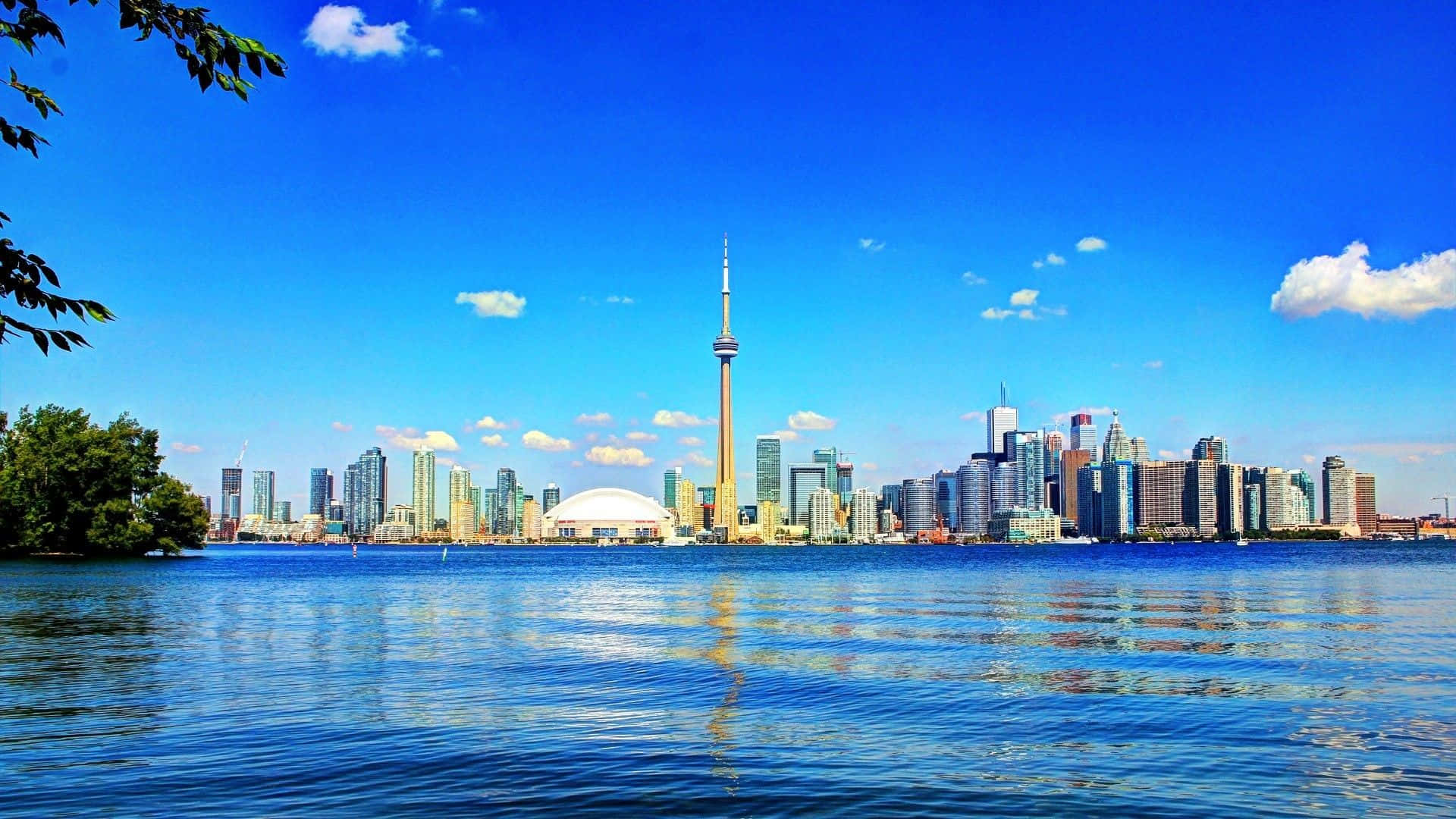 Toronto Skyline Pictures Wallpaper