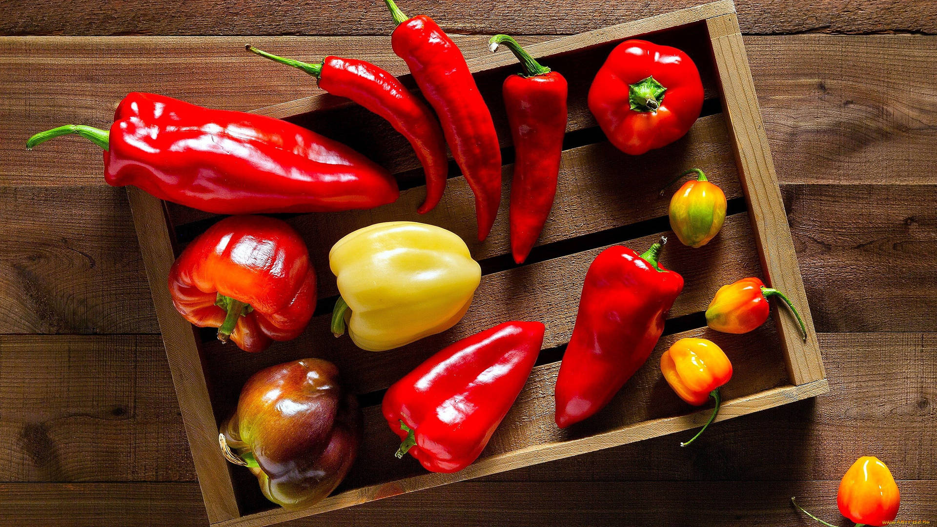 HD wallpaper chili pepper market vegetables food spices chile peppers   Wallpaper Flare