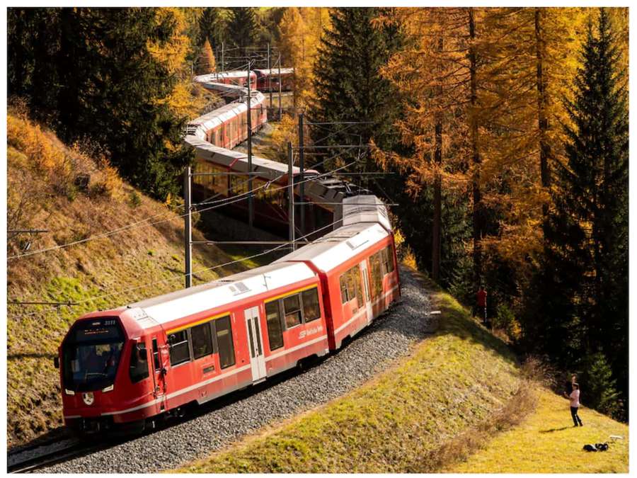 Red train traveling through autumn forest with golden trees and green pines. — Train Picture