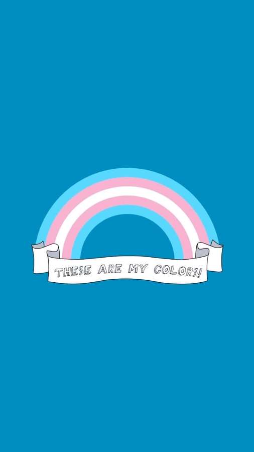 A rainbow with pink light blue and white stripes and a banner reading these are my colors on a teal background. — Trans Flag Background