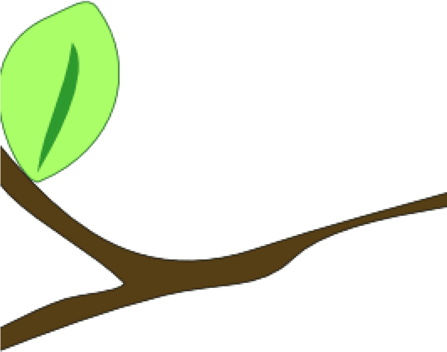 Tree Branch Png
