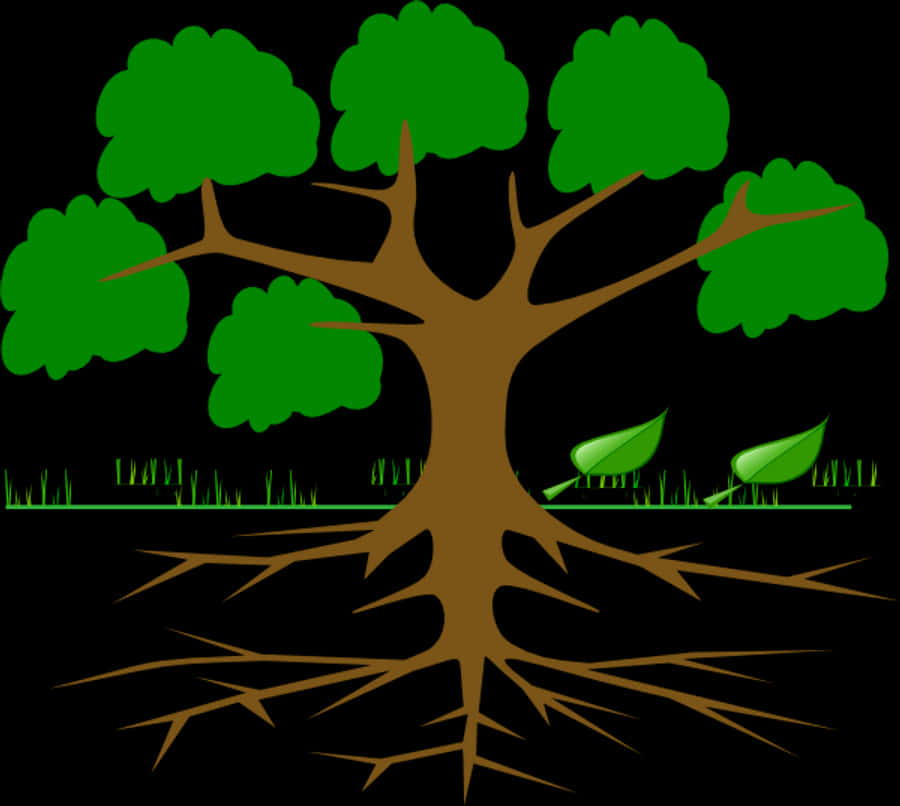 Tree With Roots Png